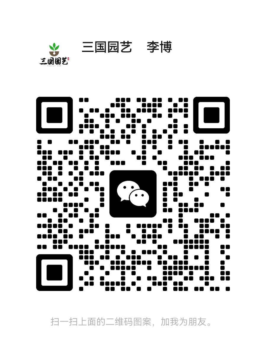 公众号