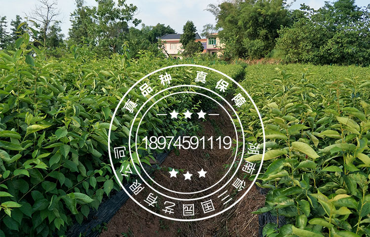 基地掠影